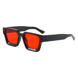 The Renegade Vision